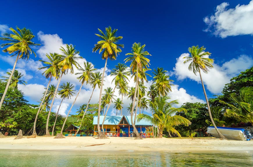 Colorful shack on a beach surrounded by palm trees in San Andres y Providencia, Colombia