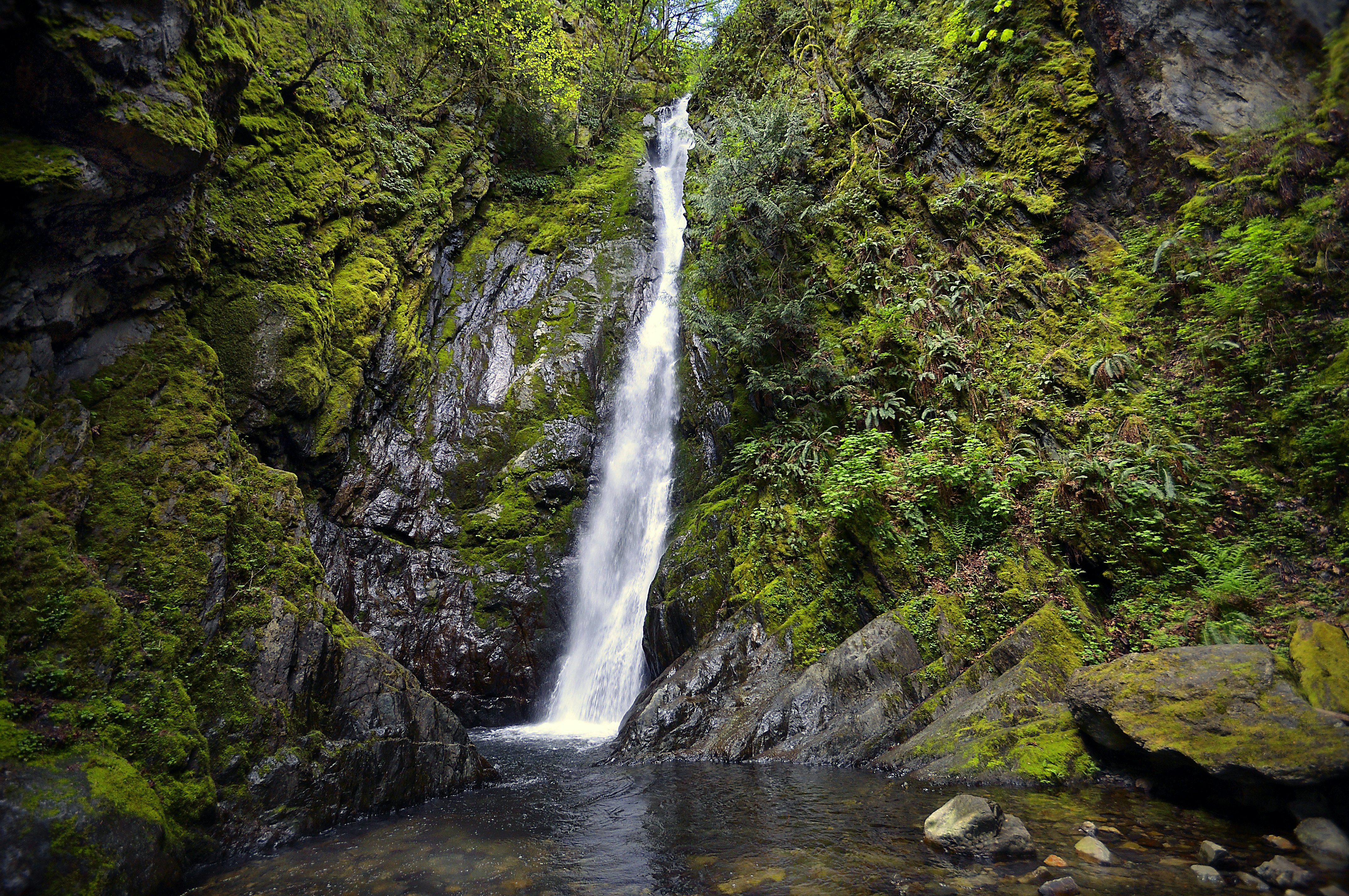 Niagara falls creek, in Goldstream Provincial Park, near Victoria, off the Trans Canada Highway 1, on Vancouver Island, BC, Canada.