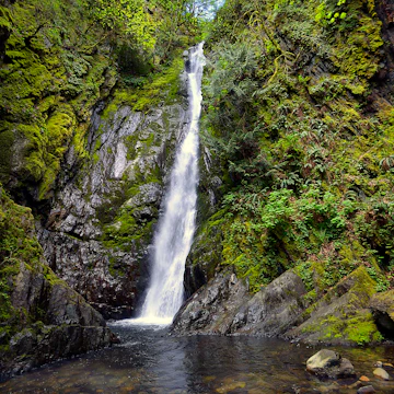 Niagara falls creek, in Goldstream Provincial Park, near Victoria, off the Trans Canada Highway 1, on Vancouver Island, BC, Canada.
