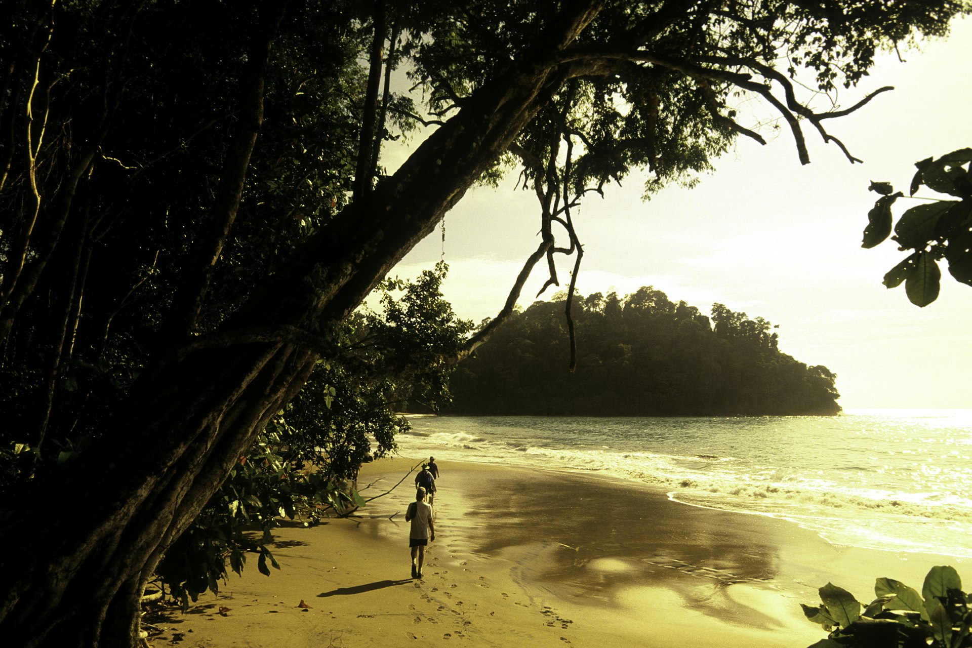 People walk along the edge of a beach next to a jungle