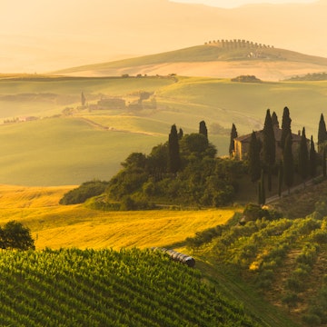 Tuscan landscape in golden light.