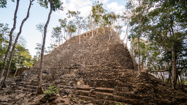 Ruins of an ancient maya pyramid (La Danta) deep in the Guatamalan jungle. Trees growing on the structure. Shot in El Mirador national park in Northern Guatemala. ; Shutterstock ID 1711358266; your: Bridget Brown; gl: 65050; netsuite: Online Editorial; full: POI Image Update