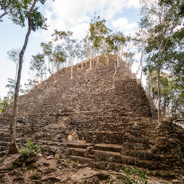 Ruins of an ancient maya pyramid (La Danta) deep in the Guatamalan jungle. Trees growing on the structure. Shot in El Mirador national park in Northern Guatemala. ; Shutterstock ID 1711358266; your: Bridget Brown; gl: 65050; netsuite: Online Editorial; full: POI Image Update