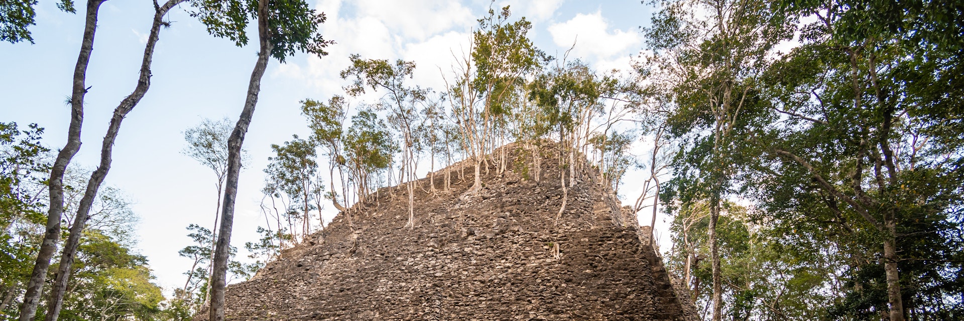 Ruins of an ancient maya pyramid (La Danta) deep in the Guatamalan jungle. Trees growing on the structure. Shot in El Mirador national park in Northern Guatemala. ; Shutterstock ID 1711358266; your: Bridget Brown; gl: 65050; netsuite: Online Editorial; full: POI Image Update