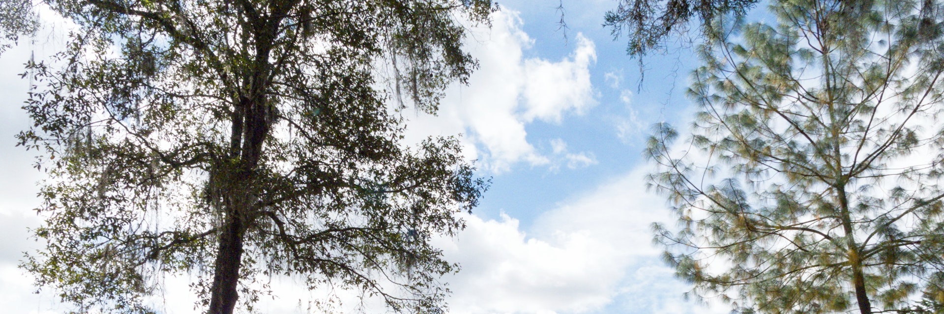 Quiche Mayan capital burned by Pedro de Alvarado in 1524. Major unexcavated Mayan archeological site.
The ruins of the ancient K'iche' Maya capital of K'umarcaaj