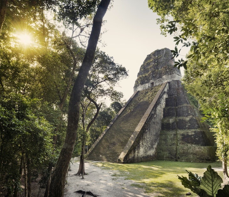 Built around 700 AD, the 57 metre high pyramid of Temple V in Tikal was one of the tallest and most voluminous buildings in the Maya world.