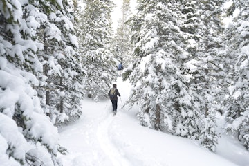 Snowshoeing, Estes, Colorado