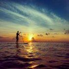 Young man stand-up paddleboarding during a beautiful sunrise in Mexico
