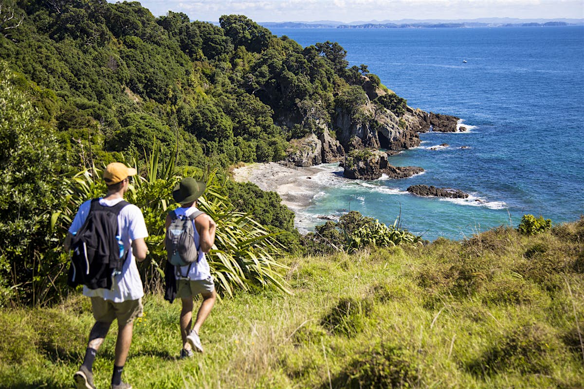 Travel to New Zealand in 2022: Here's when tourists can return