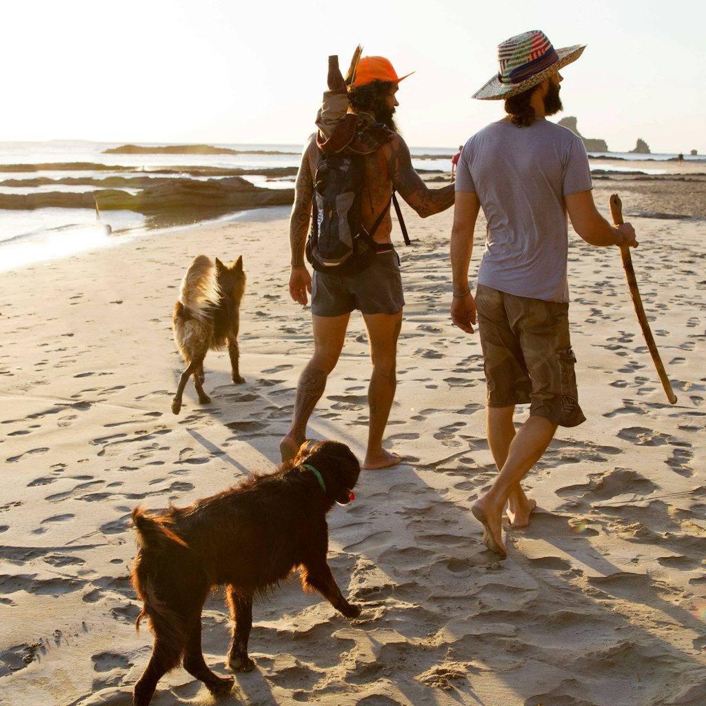 Two male travelers stroll the beach with two dogs following behind them.