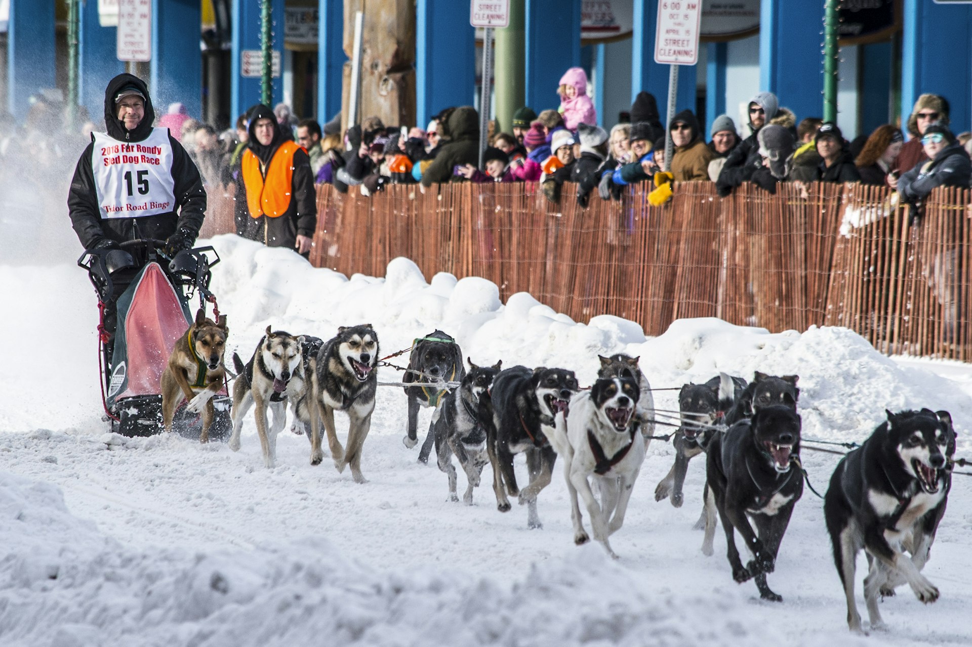 A dog sledder being pulled by a pack of dogs