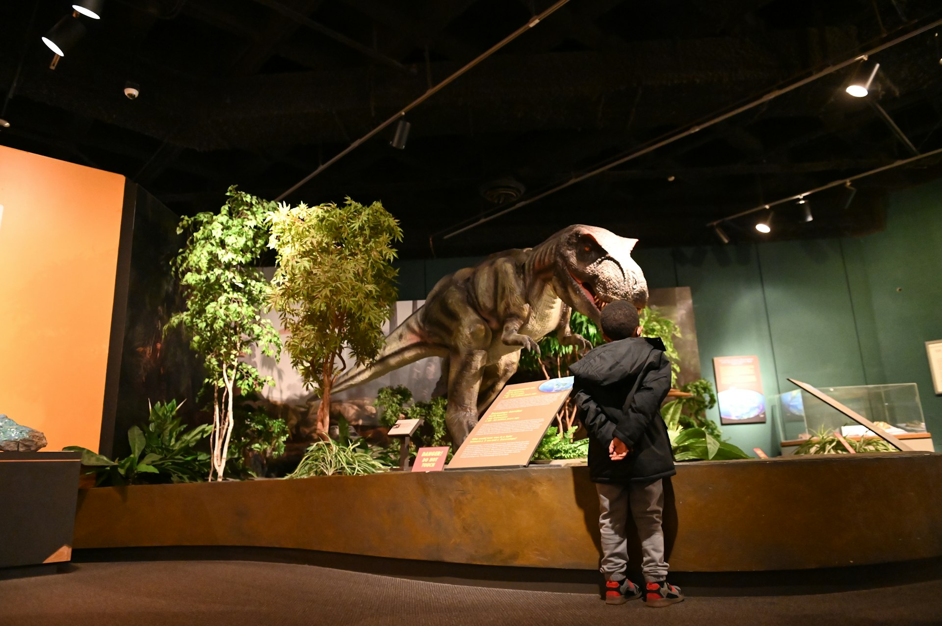 A young boy stands in front of a replica of a large dinosaur at an exhibit at the Memphis Museum of Science & History