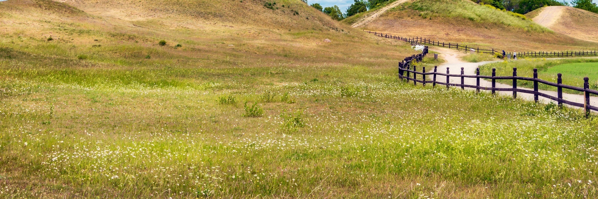 Royal Mounds - large barrows located in Gamla Uppsala village, Uppland, Sweden (70 km from Stockholm).  Beautiful Viking graves covered by grass. Gamla Uppsala is area rich in archaeological remains.; Shutterstock ID 1138429115; your: Bridget Brown; gl: 65050; netsuite: Online Editorial; full: POI Image Update