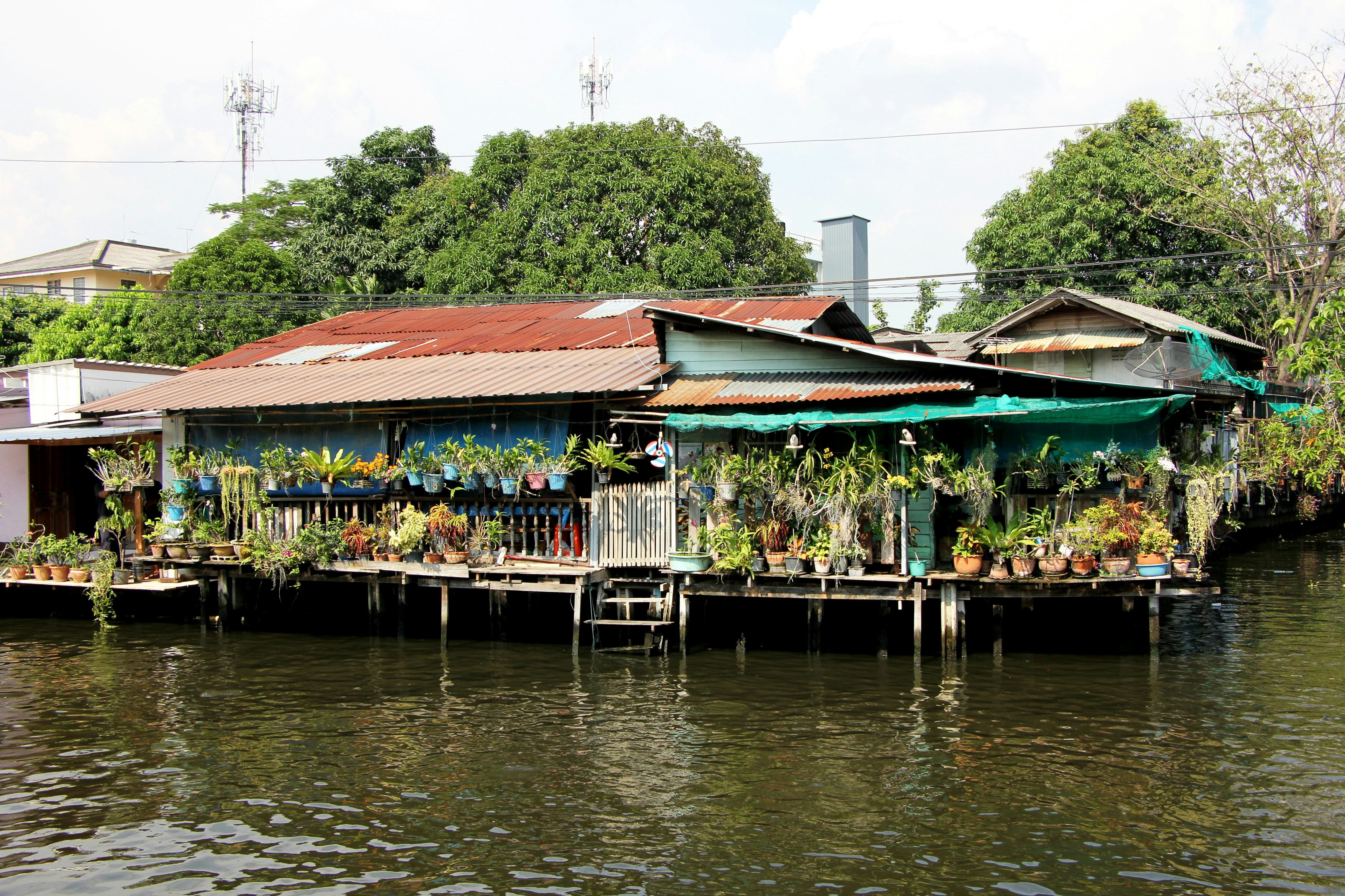Views from the "Artist's House" in Bangkok, Thailand.
