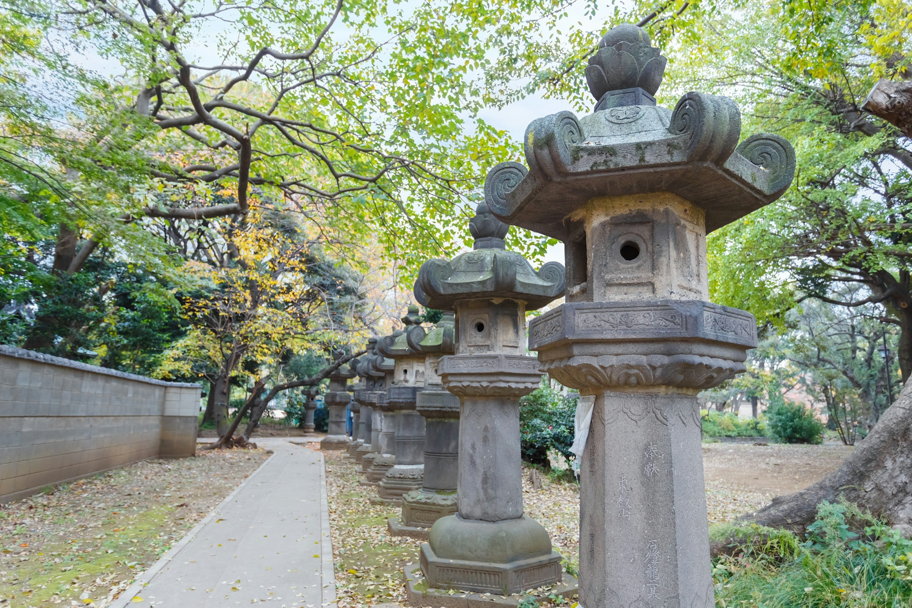 Tokyo_Walking_Ueno-Park.jpg