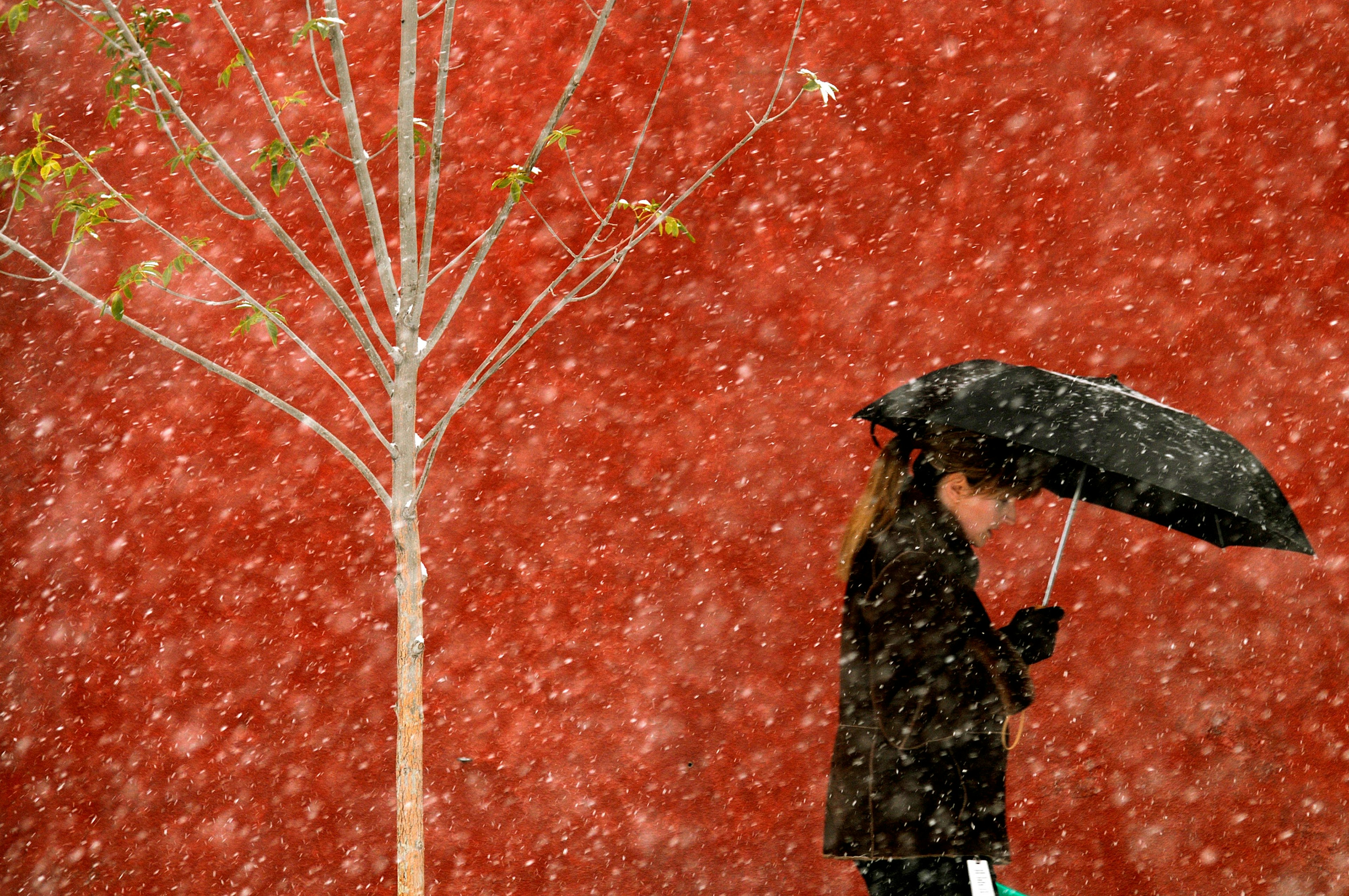 A pedestrian shields herself from a heavy afternoon snowfall in downtown Anchorage, Alaska