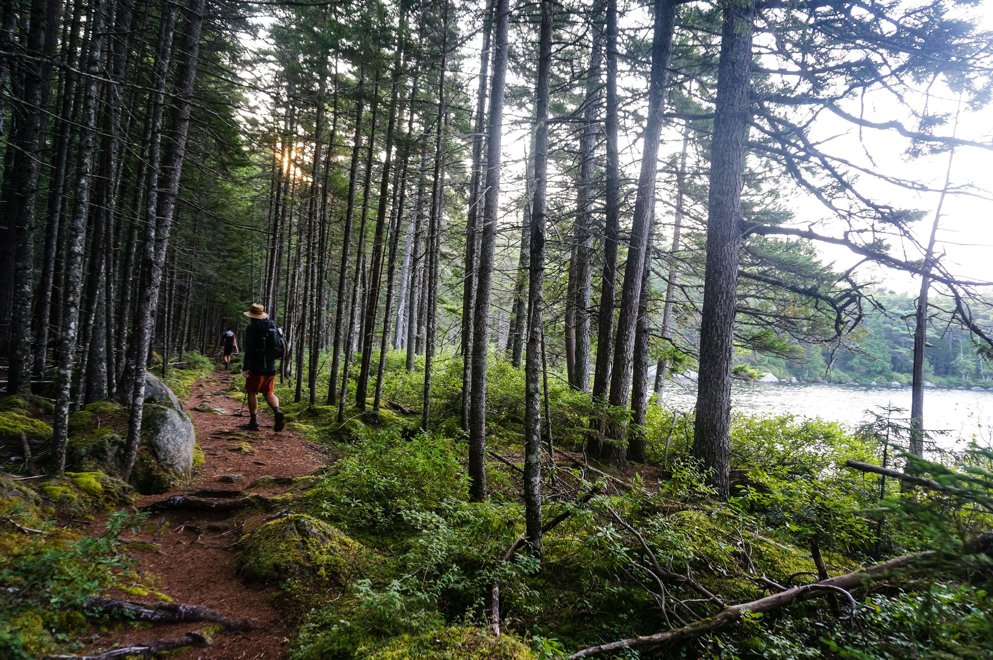 Two hikers on a wooded path by a body of water