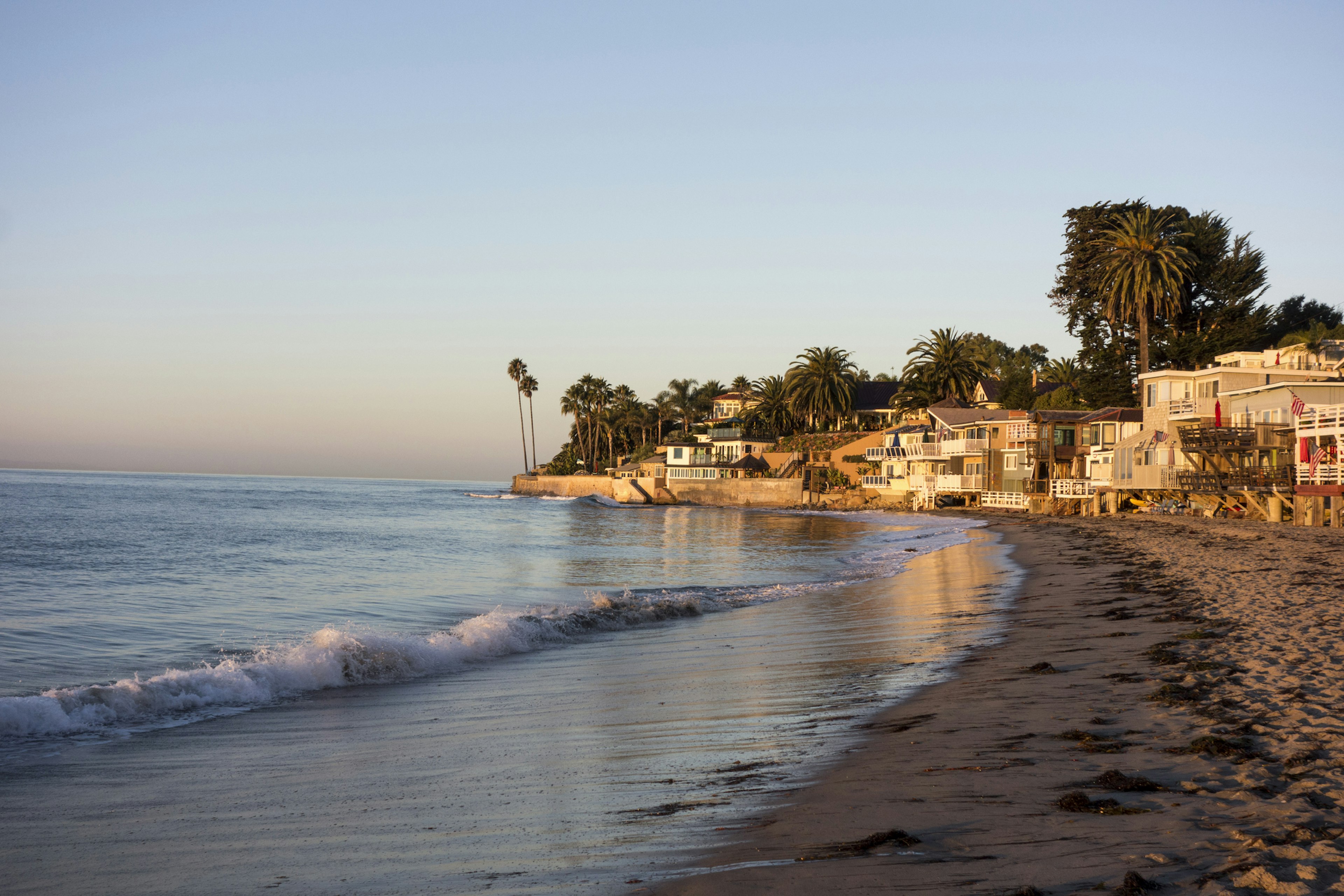 are dogs allowed on santa barbara beaches