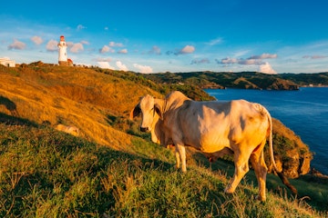 The Rolling Hills of Batanes, Philippines