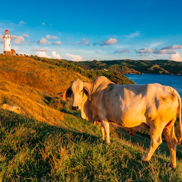 The Rolling Hills of Batanes, Philippines