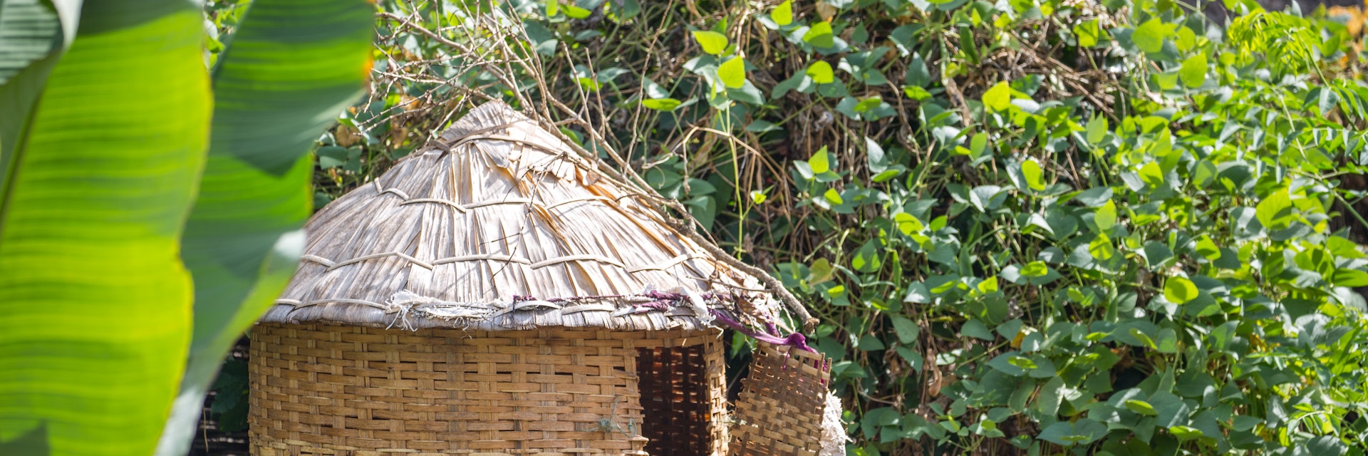 A traditional hut in an Ari village near Jinka in the Omo Valley.