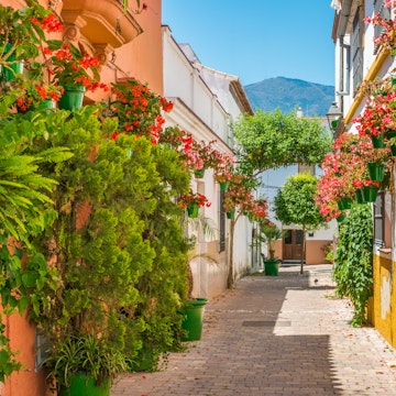 The beautiful Estepona, little town in the province of Malaga, Spain.