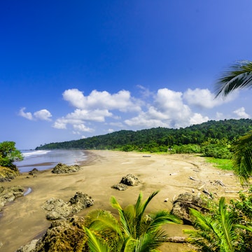 View on tropical beach Almejal at the pacific coast next to El Valle in Choco region of Colombia
