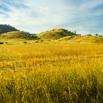 Grass hill, it is the landmark of Ranong province in Thailand.