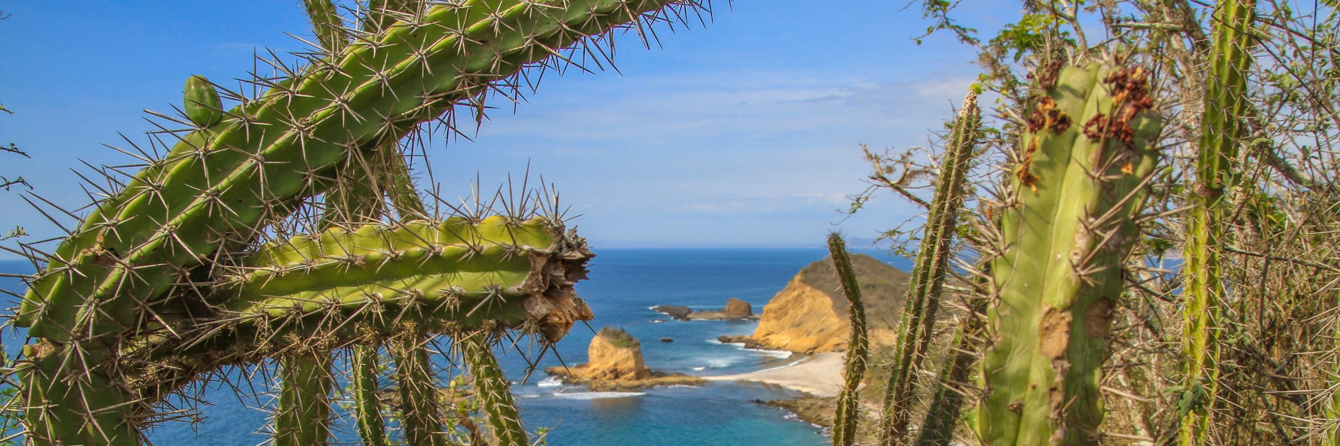 Beautiful bay with sandy beach Los Frailes with cactus plants near Canoa, Puerto Lopez, Pacific Coast, Ecuador (no people)