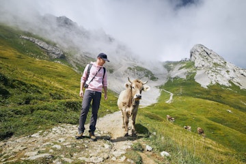 Young man walking with swiss cow on mountain footpath. Mount Pilatus, Lucerne, Switzerland.
