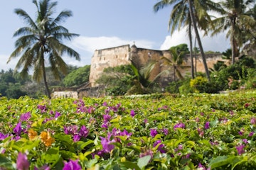 Pink flowers against a tropical backdrop of palm tress and Fort Jesus in old town Mombasa, Kenya
