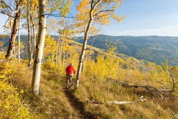 Scenic location in peak fall colors with golden aspens and scenic mountain views.  Recreation on singletrack in mountains.  Captured as a 14-bit Raw file. Edited in 16-bit ProPhoto RGB color space.
