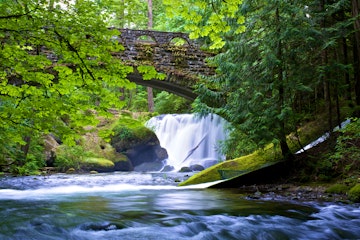 A view of Whatcom Falls in Bellingham, WA from under the foot bridge and the water flowing down Whatcom Falls Creek.