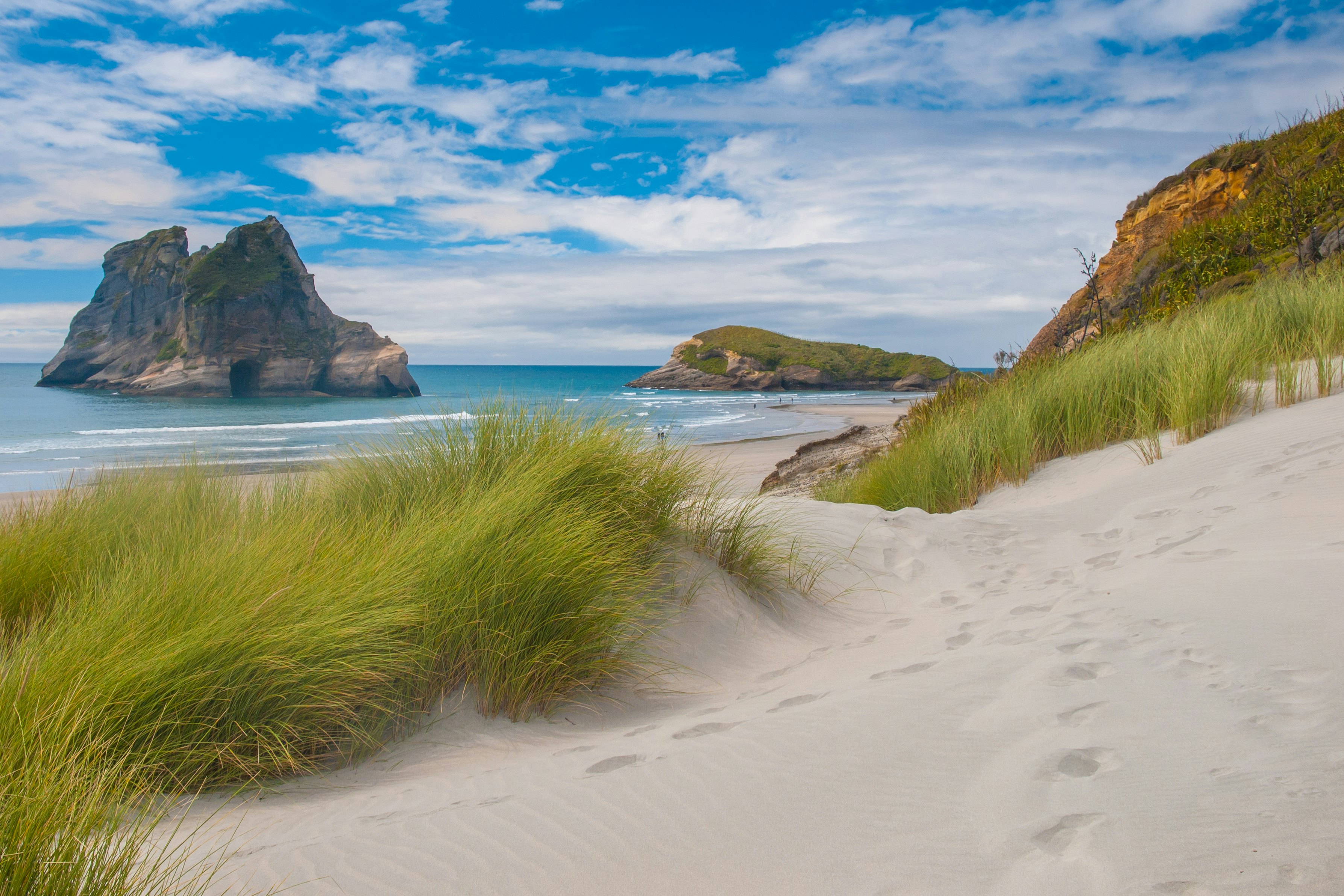 Sand Dunes and grass vegetation at famous Wharariki Beach.