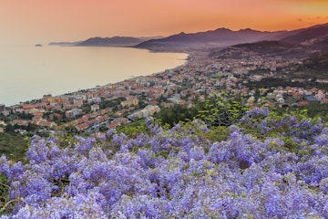 Orange sunset over the Ligurian Sea with wisteria in the foreground.