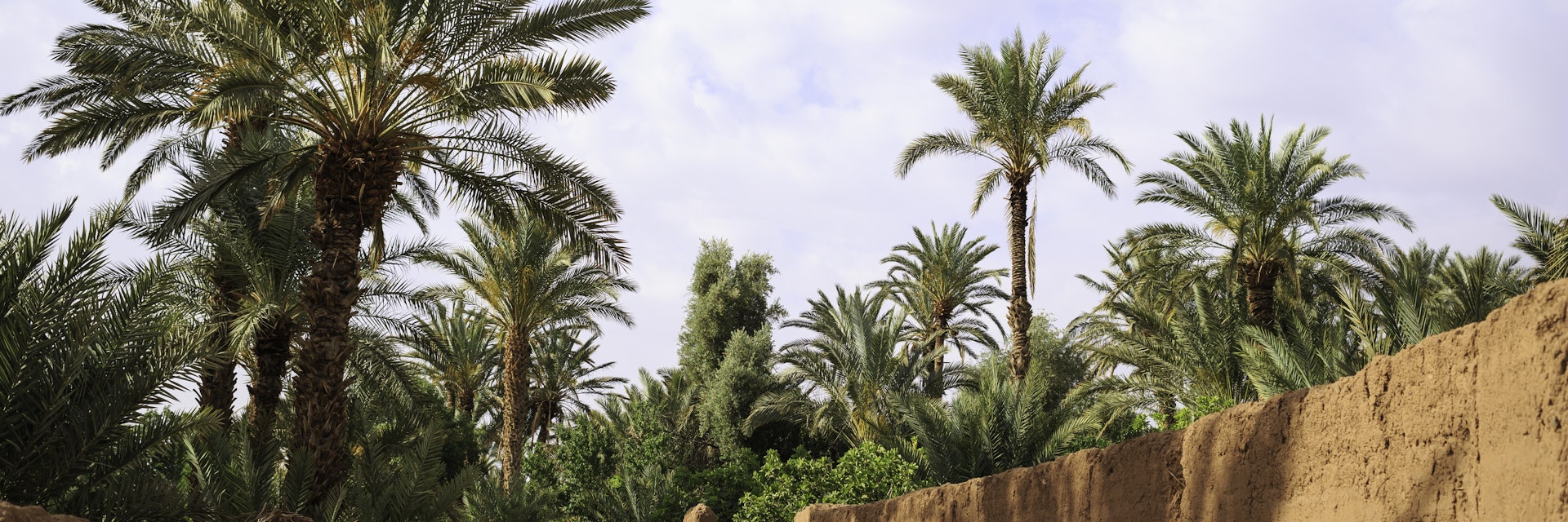 old Moroccan oasis near Zagora, Morocco
