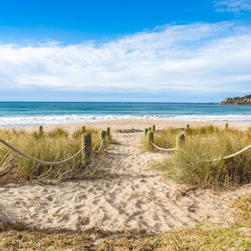 The sandy beach in Maunganui, Bay of Planty, New Zealand