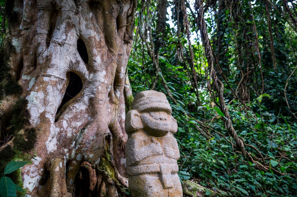 San Agustin, Colombia: A mysterious statue of a male person stands in the rainforest next to an old tree with large roots. The statues of San Agustin are a mystery to historians.
