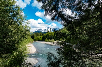 View Through The Forest Trees of Mt Baker, Washington State, USA From the Nooksack River on a Sunny Summer Day