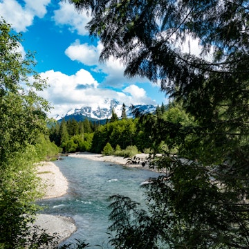View Through The Forest Trees of Mt Baker, Washington State, USA From the Nooksack River on a Sunny Summer Day