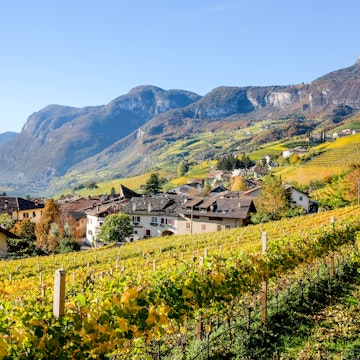 Cortaccia in Autumn, Strada del Vino, South Tyrol