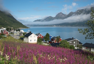 View of norwegian village  in Senja Island,Norway