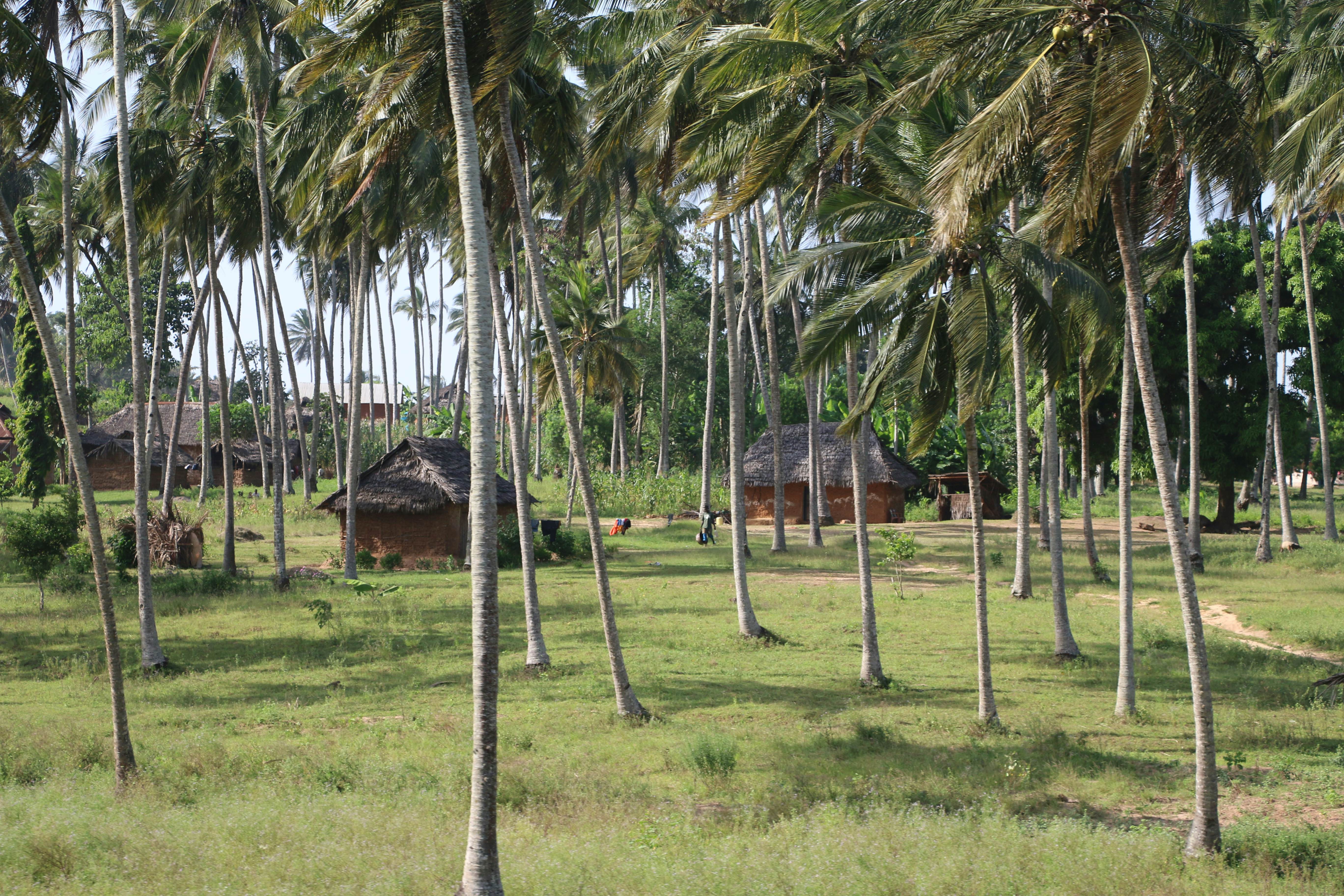 Kilifi travel - Lonely Planet | Kenya, Africa