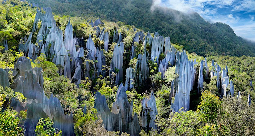 古农姆鲁国家公园 Gunung Mulu 国家公园的尖峰岩层