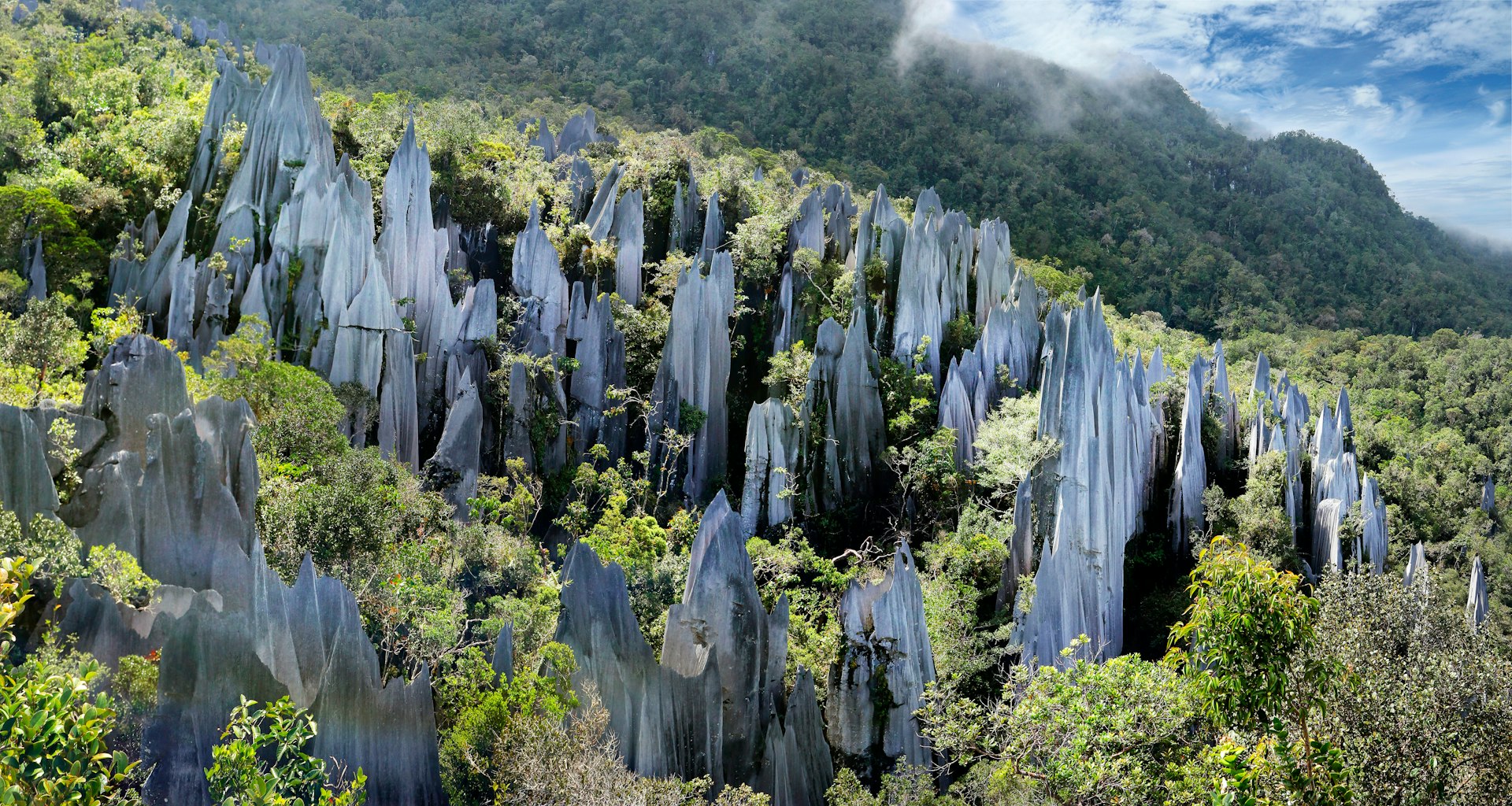 Pinnacles rock formations in Gunung Mulu National Park