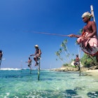 December 2003: Stilt fishermen fishing on the coast of Weligama.
