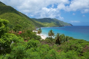 Mountainous jungle meeting the ocean at St Croix.