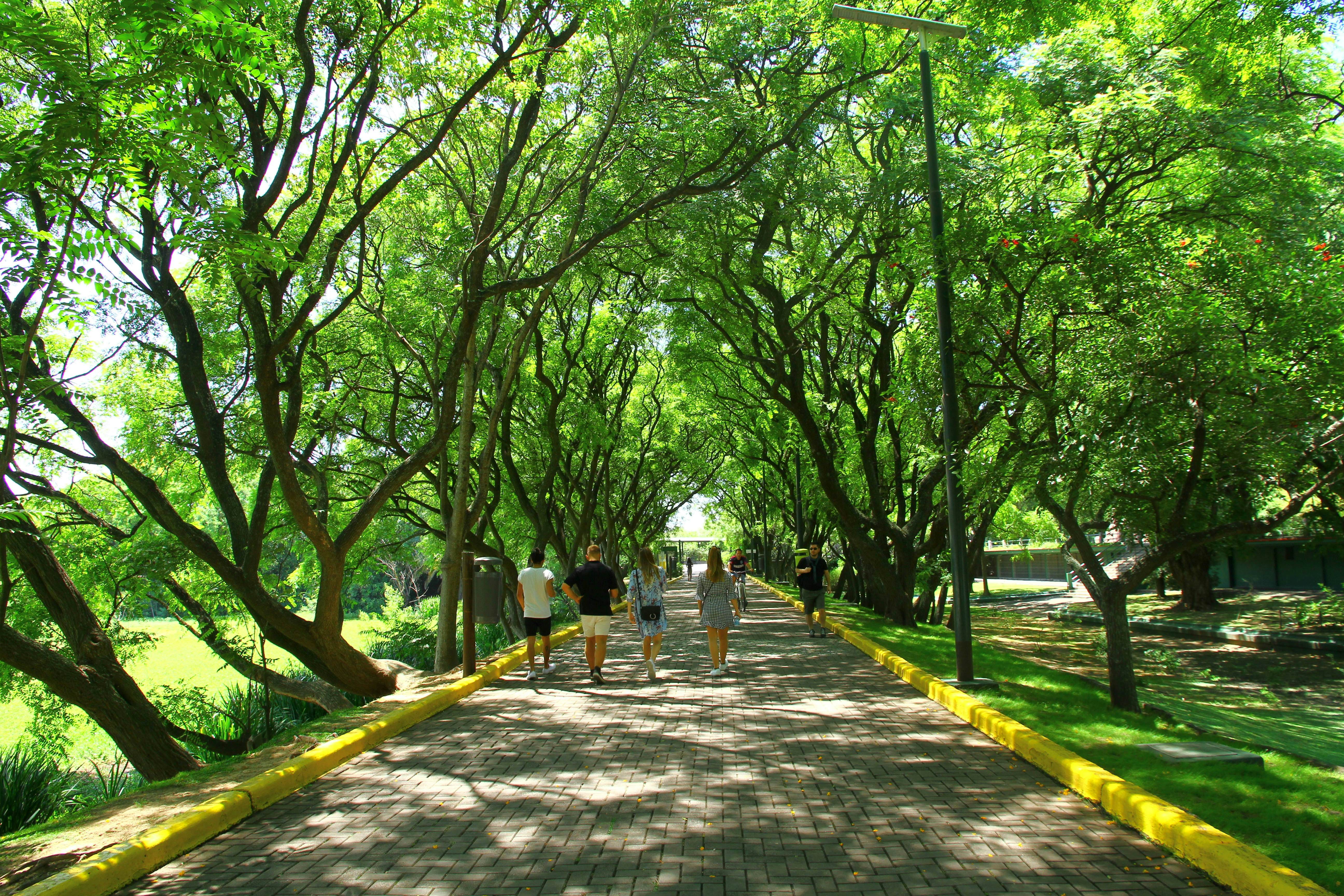 COSTANERA SUR ECOLOGICAL RESERVE, BUENOS AIRES, ARGENTINA-24 January 2019. Costanera Sur is an ecological reserve which becomes a popular site for weekend picnics, walks and bike rides in Buenos Aires