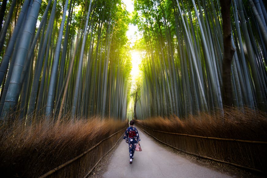 The bamboo groves of Arashiyama in Kyoto