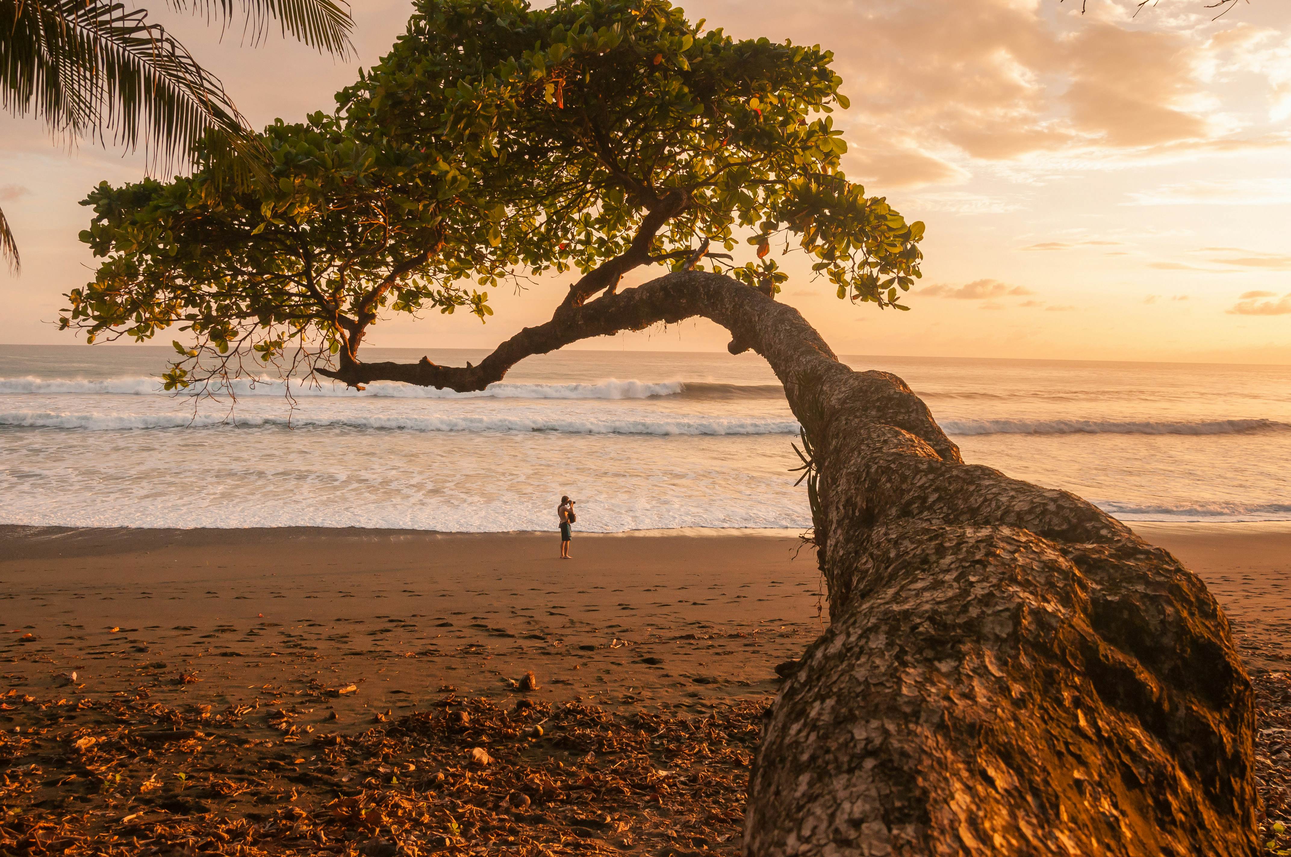 A man takes a photo of the sunset on a beach in Corcovado National Park.
